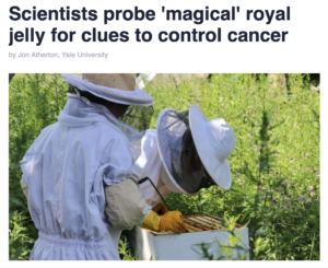 scientists study bees